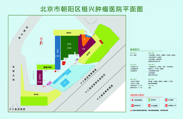 叼逼的电影北京市朝阳区桓兴肿瘤医院平面图